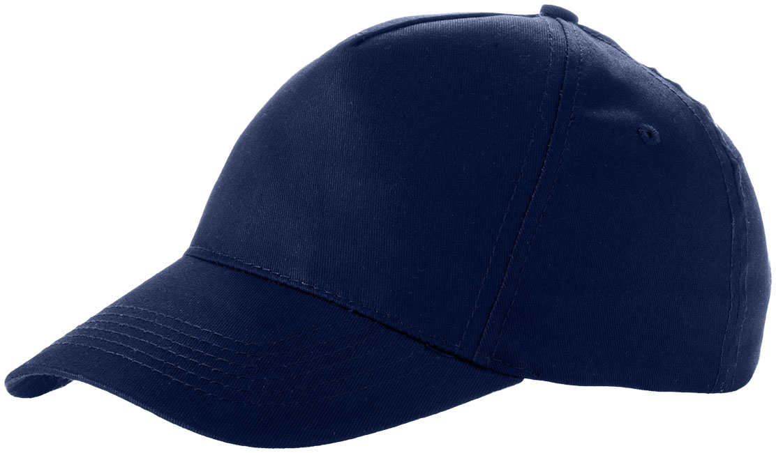 Brunswick-keps-5-panel-3
