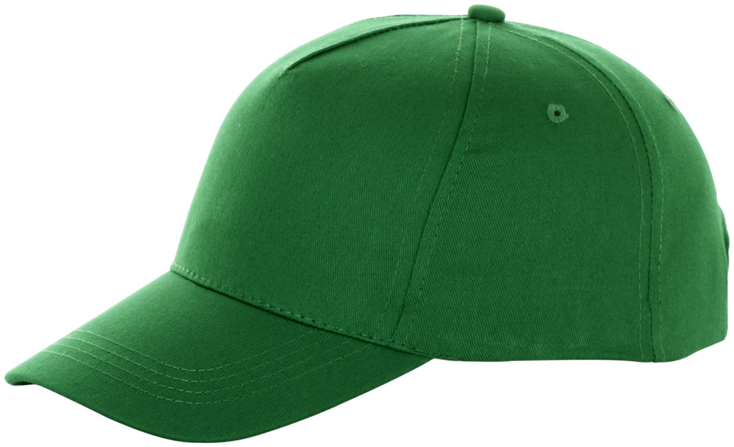 Brunswick-keps-5-panel-4