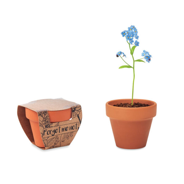 Terracotta skål 'forget me not'