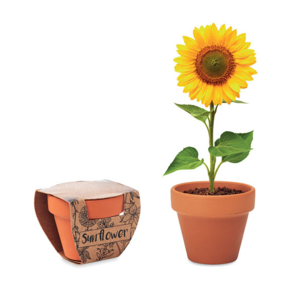 Terracotta skål 'sunflower'