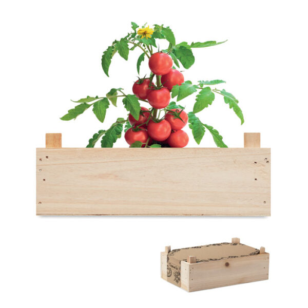 Tomatkit i trälåda